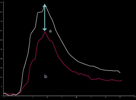 Graph 1