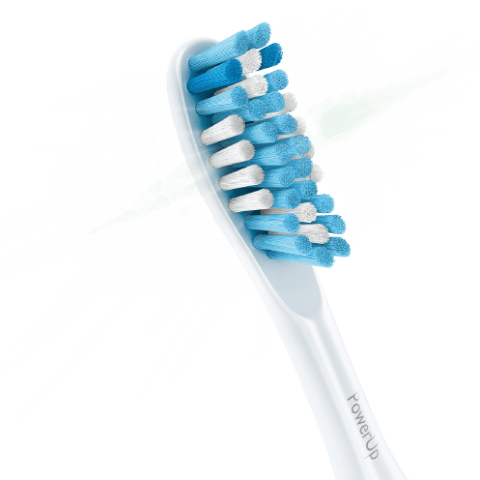 toothbrush heads philips sonicare brush powerup replacement head care pe compatible