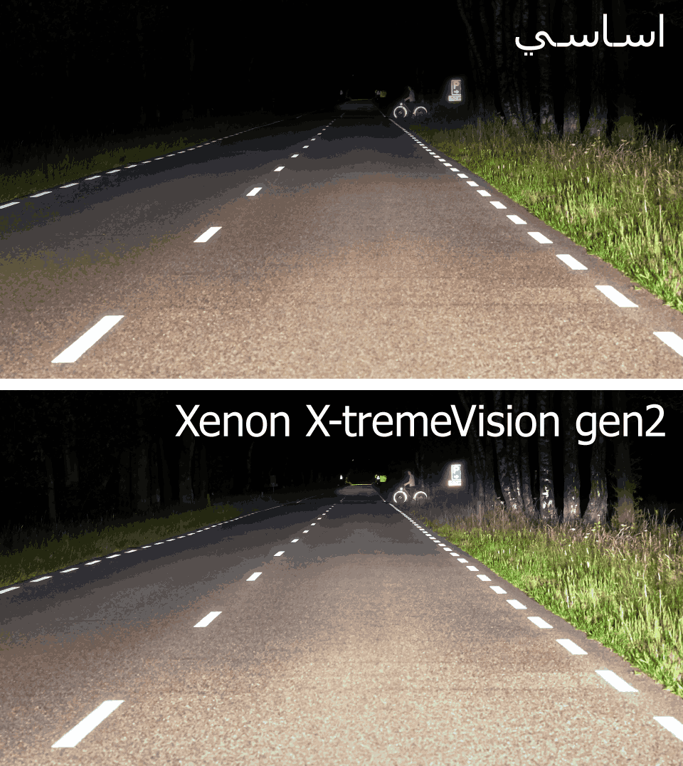 Vision