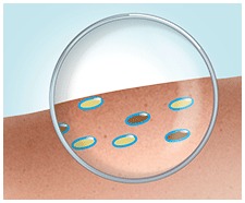 The dirt and fat molecules are turned into water-soluble droplets